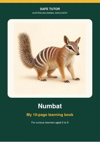 Cover of the Numbat book